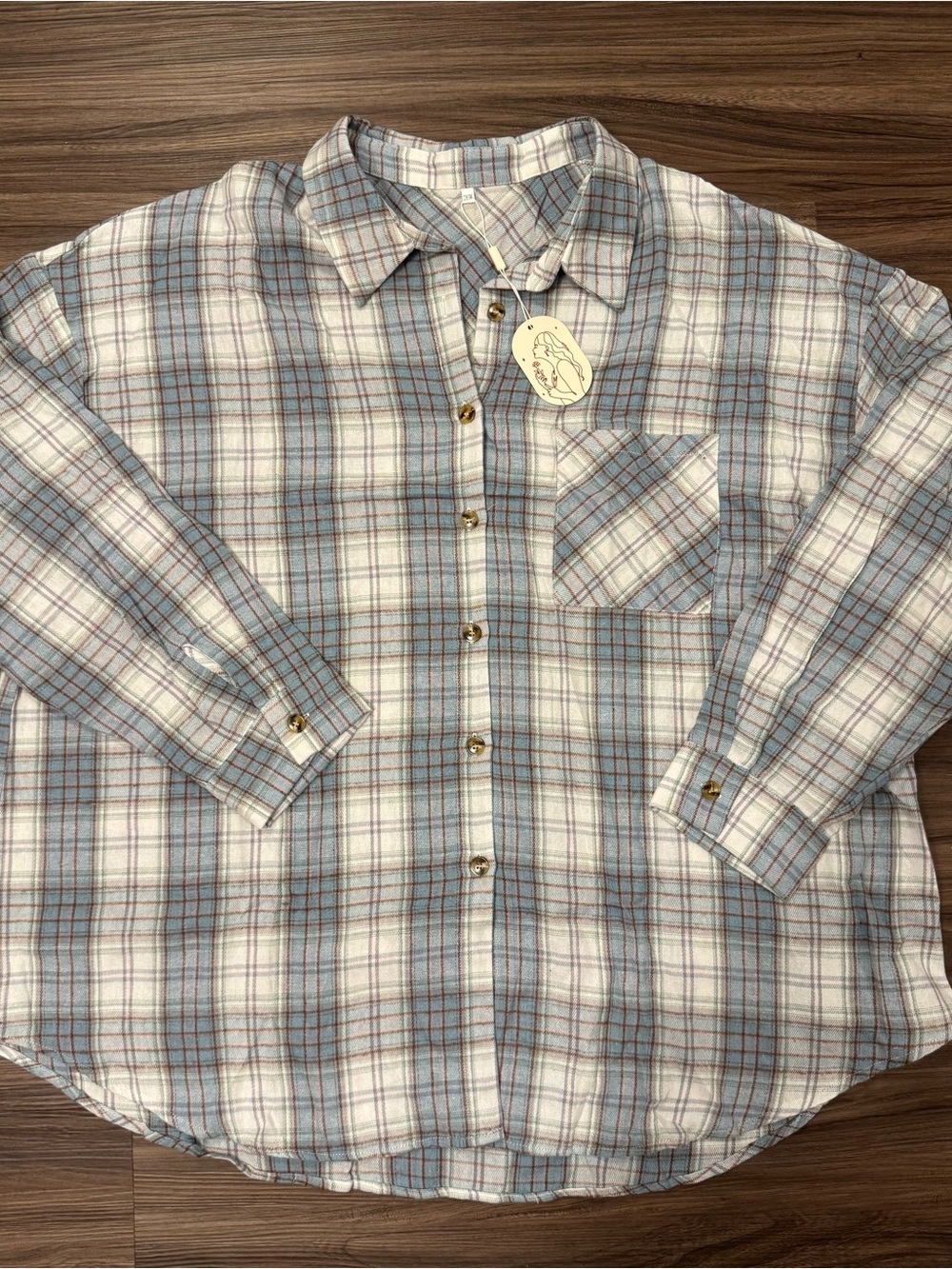 Women's Plaid Button-Down Shirt in Light Blue and White